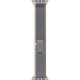 Ремінець Apple для 49mm Green/Gray Trail Loop M/L